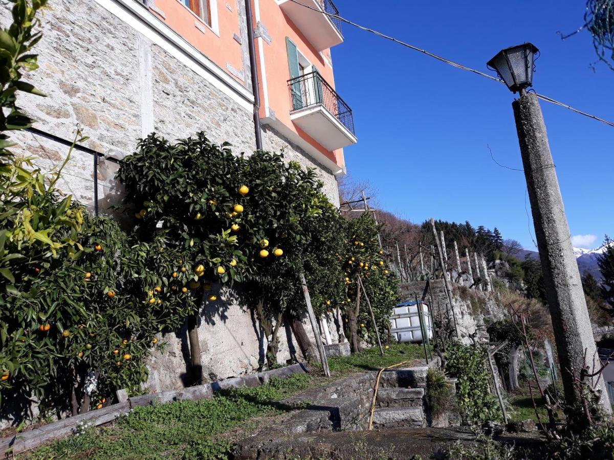 Casa Ai Castelli Διαμέρισμα Cannobio Εξωτερικό φωτογραφία