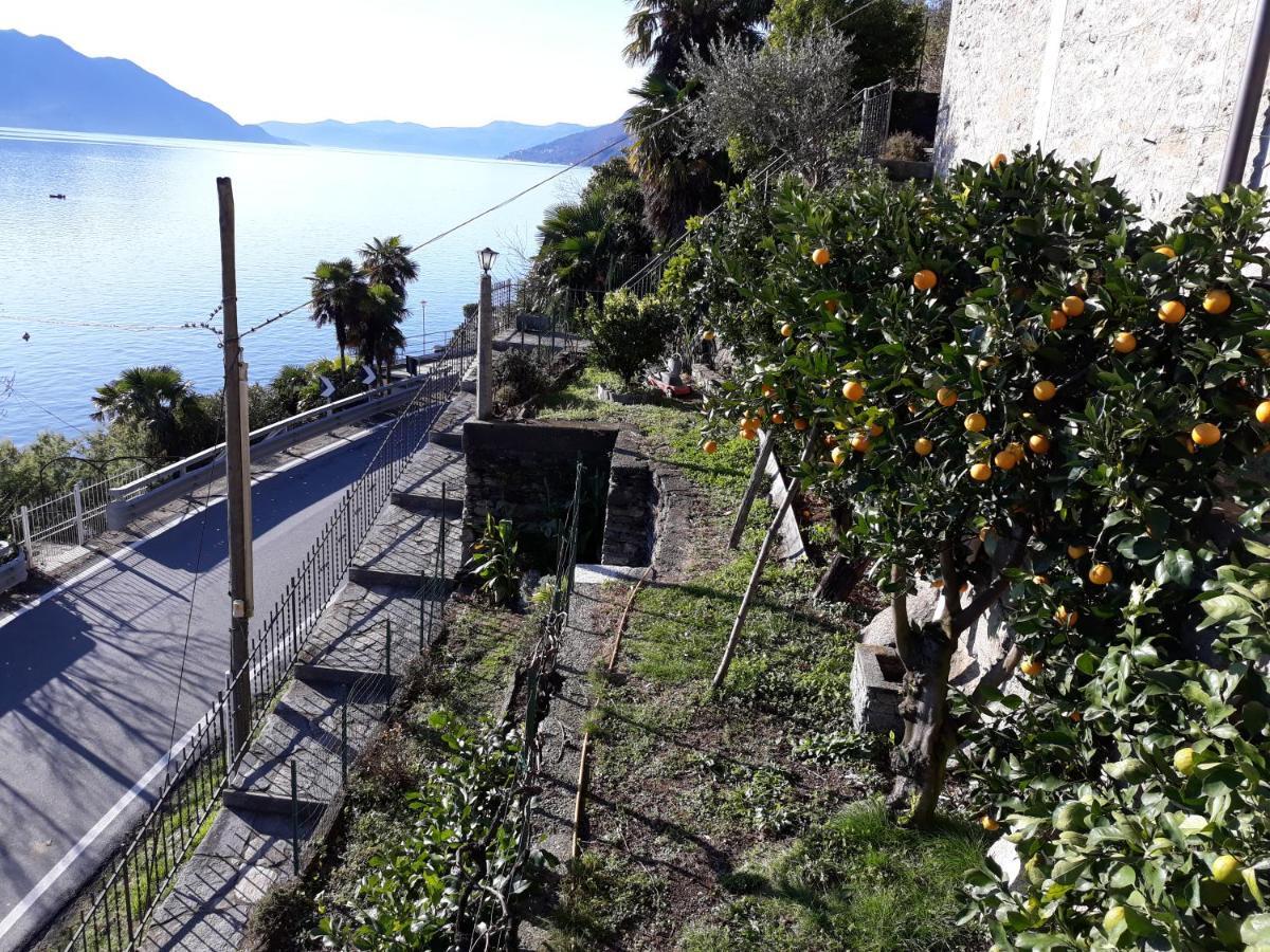 Casa Ai Castelli Διαμέρισμα Cannobio Εξωτερικό φωτογραφία
