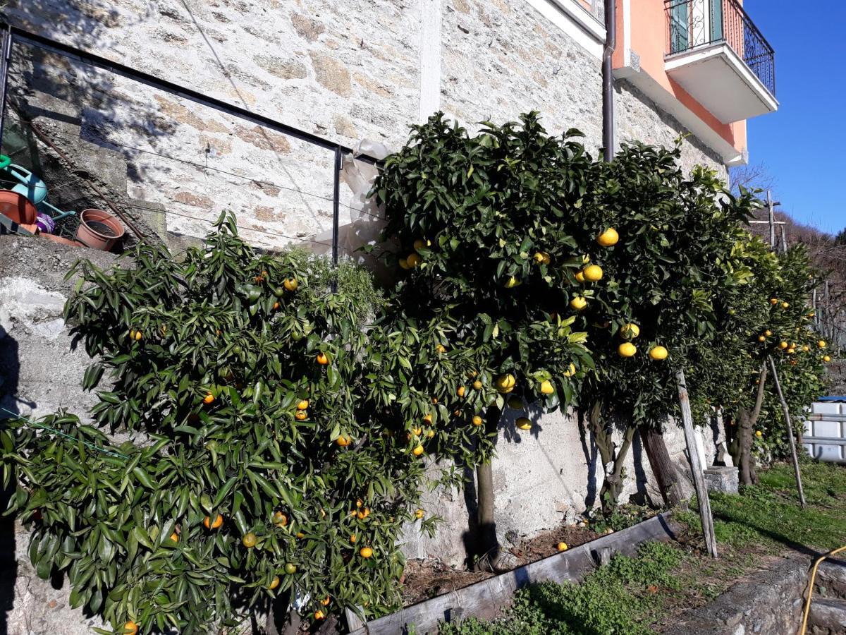 Casa Ai Castelli Διαμέρισμα Cannobio Εξωτερικό φωτογραφία